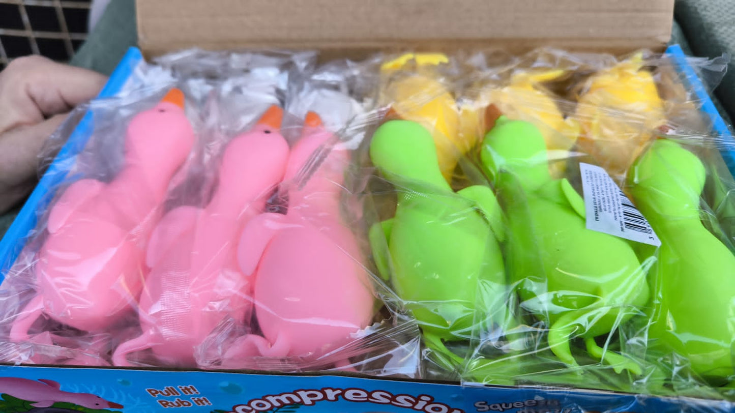 ברווז נידו צבעוני