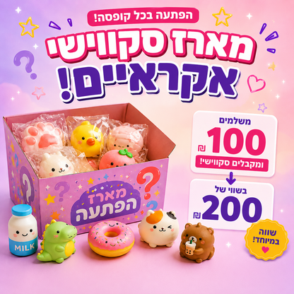 מארז סקווישי בהפתעה.  מכירת חיסול מלאי | 20 יח'