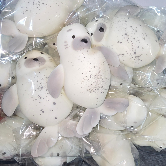 סקווישי כלב ים נידו